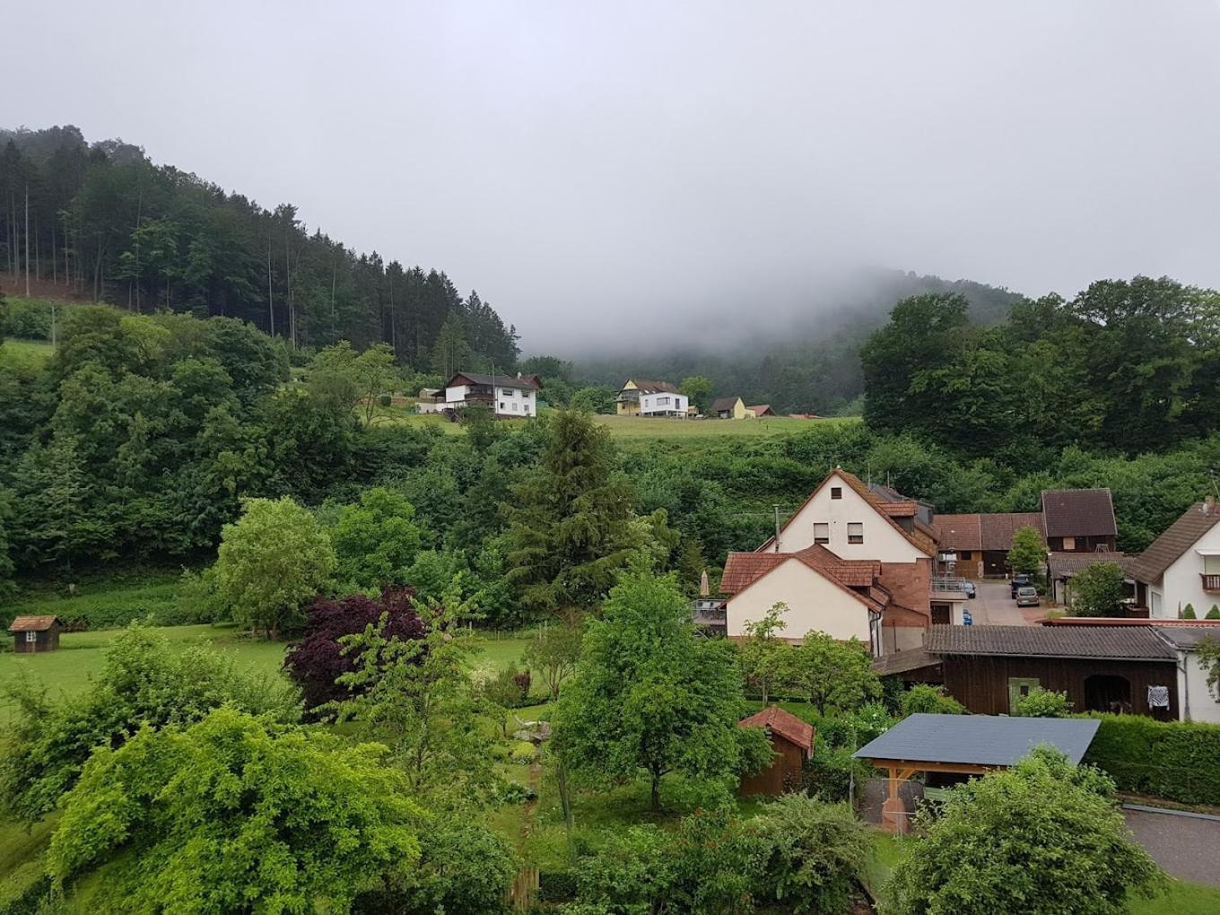 Landhotel Zur Wegelnburg Schonau  Ngoại thất bức ảnh